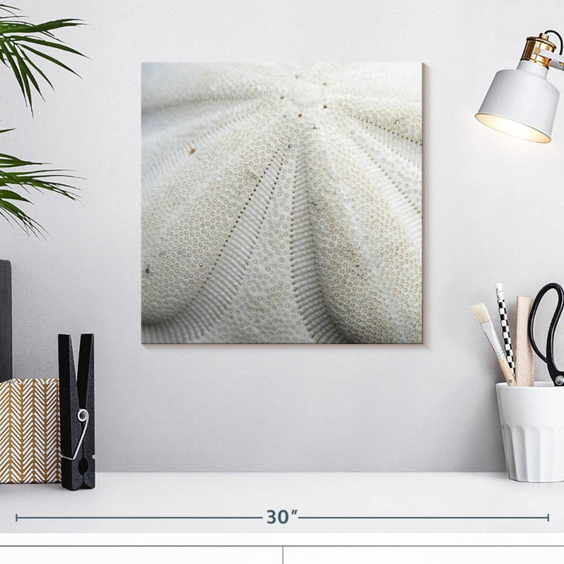 Crowle Textured Sand Dollar, 16" H x 16" W