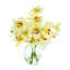 Orchid Arrangement in Mirrored Glass Vase
