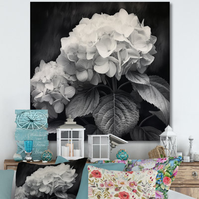 Hortensia gris et blanc II - imprimé