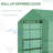 Outsunny Walk-In Greenhouse For Flowers, Vegetables-120842650-120842653