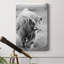 Gretna Green Highland - Photographie sur toile tendue-1898991780