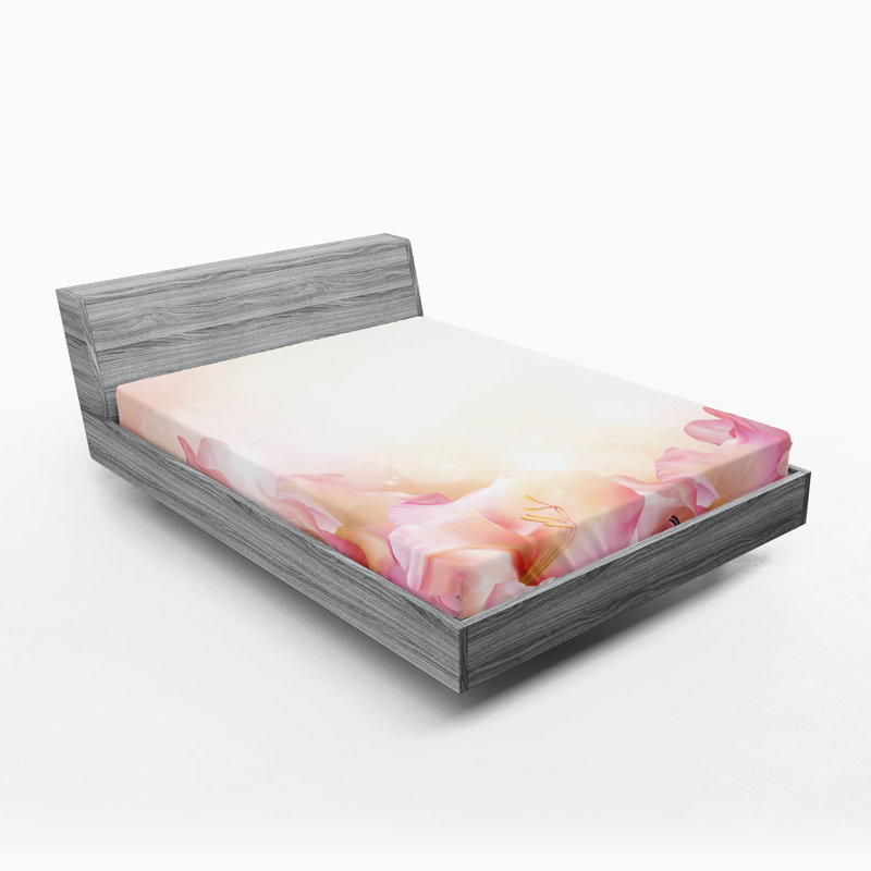 Ensemble de 2 draps-housses Ambesonne, Drap-housse de taille double
