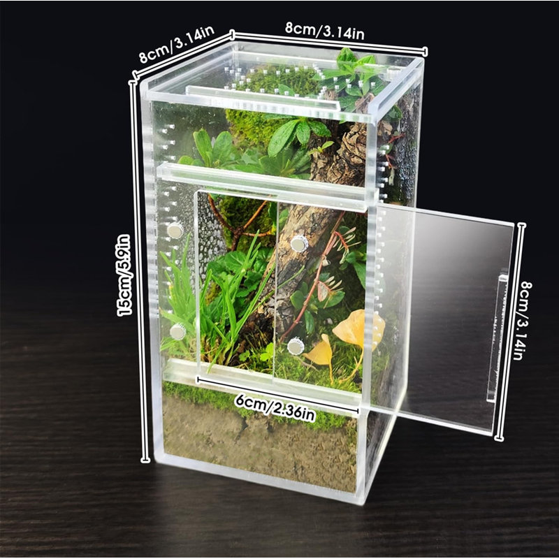 Terrarium pour petits insectes 3 x 3 x 6 pouces