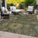 Machine Washable Indoor/Outdoor Jacinto ACN2151 Medallions Rug