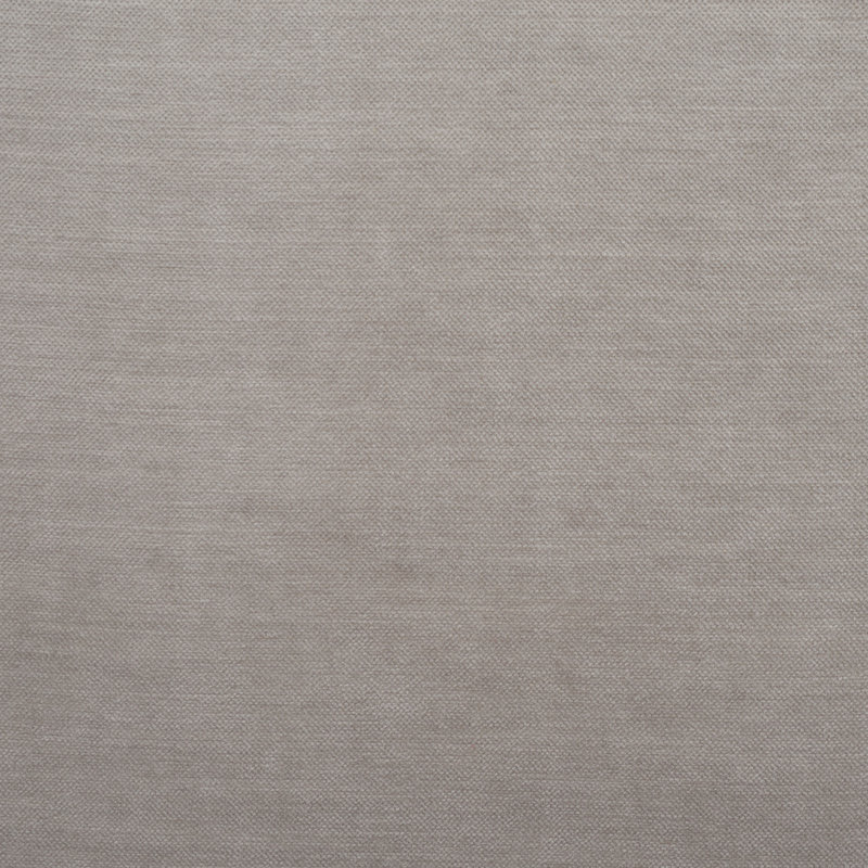 Chaise d'appoint Bridger, Velours gris clair