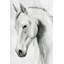 'Horse Whisper I' by Grace Popp - Painting Print-1797263468-1857322686