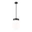 Luminaire suspendu 1 lumière Patrisio-962248151-962248147