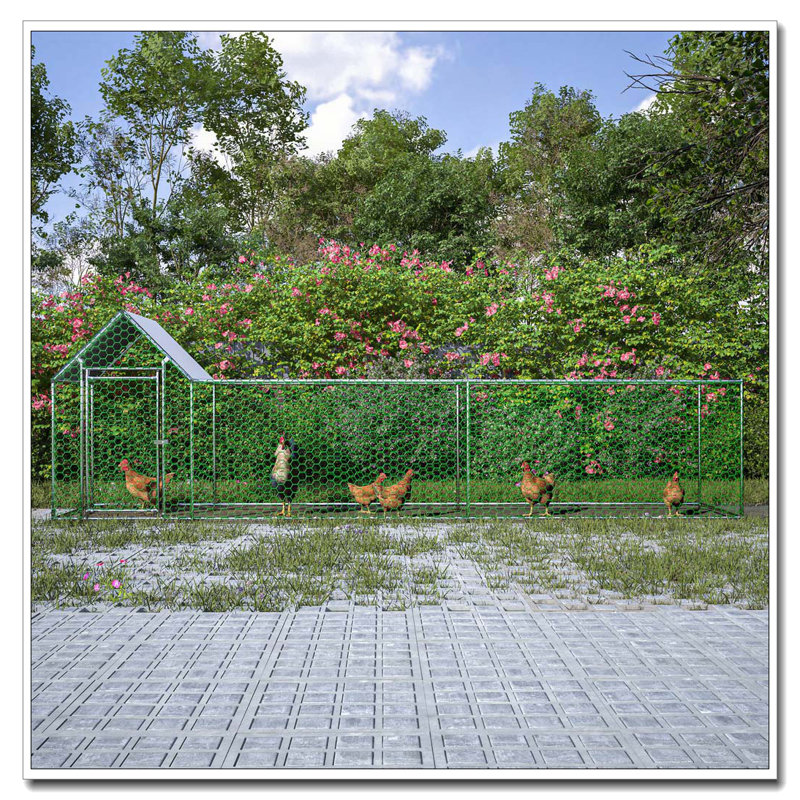 Cage à poulailler avec poulailler 16x3FT