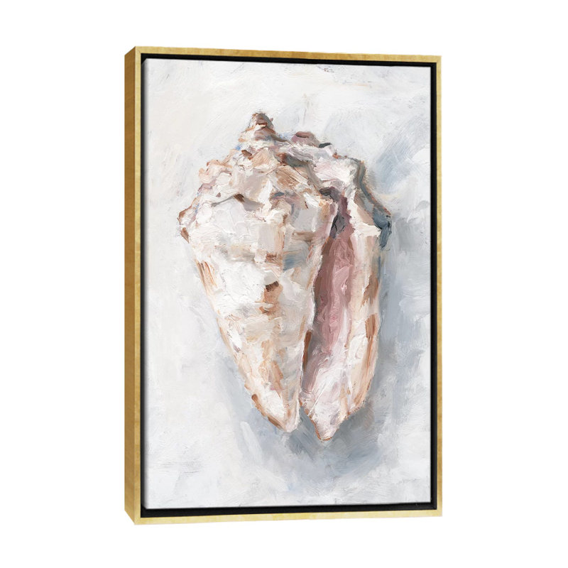 "White Shell Study II" par Ethan Harper, reproduction d’art, Pas de tapis, H 26 po x l 18 po x P 1,5 po, Toile encadrée d'or