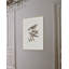 Nesting Navigators Ivory 3 Print-714668750