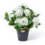 Pink Hydrangea Urn Filler-288642683