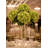 Delicate 18-inch Green Hydrangea Stem - Stunning 7-Inch Diameter