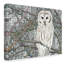 «Barred Owl White» de Nonette, impression sur toile tendue-30392910