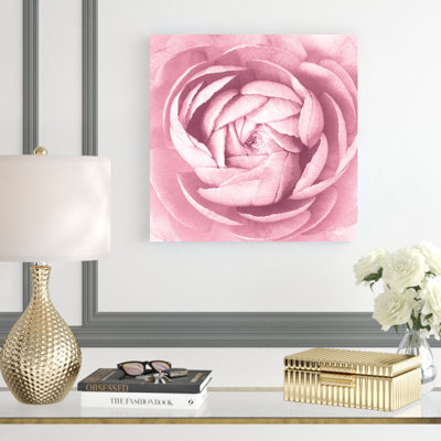 " Pale Pink Ranunculus Crop "