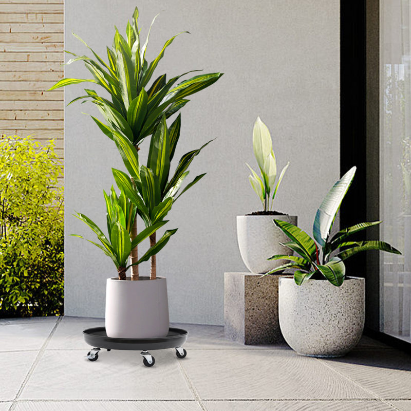 Support pour plante Priyaa, Noir