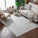 Area Rug