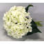 Pièce maîtresse hortensia artificielle en vase