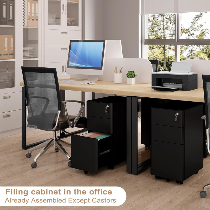 Holice 30cm Wide 3 -Drawer Mobile File Cabinet, Black
