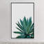 « agave cactus »-impression photographie-49905608-49905610