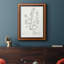 «Botanical Study In Sage VIII», toile encadrée de qualité supérieure - prête à être accrochée-451111125