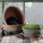 Alter Terracotta Bulb Pot