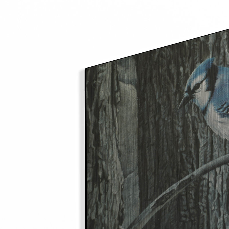 «Backyard Jay» par Ron Parker, H 12 po x l 16 po