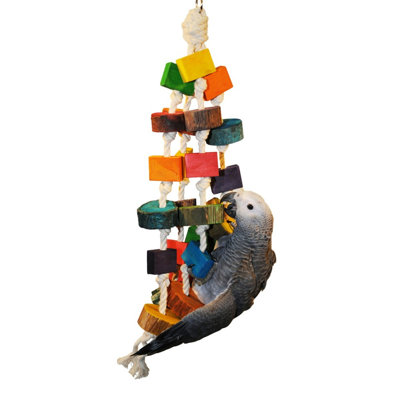 Happy Beaks Coloured Wood Circles