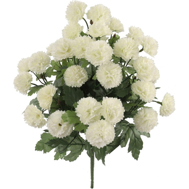 18 "maman buisson - paquet de 2