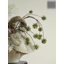 Arrangement floral Wabi Sabi