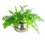 65cm Faux Fern Plant in Metal Planter
