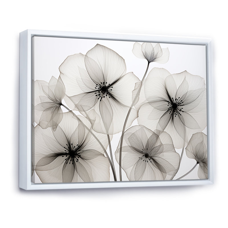 «Black and White Morning Glory Speed - Morning Glory», reproduction d'art sur toile, H 16 po x l 32 po x P 1 po