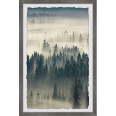 Come To The Woods - Single Picture Frame Print