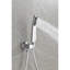 Robinet de pomme de douche mural-114019212