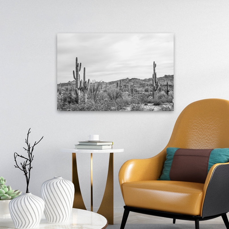 Jardin Sonoran Wonderland BW, H 24 po x l 16 po