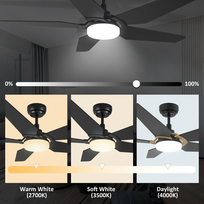 Ventilateur de plafond standard à 52 pales 52 po DEL avec télécommande et ensemble d'éclairage inclus, Noir