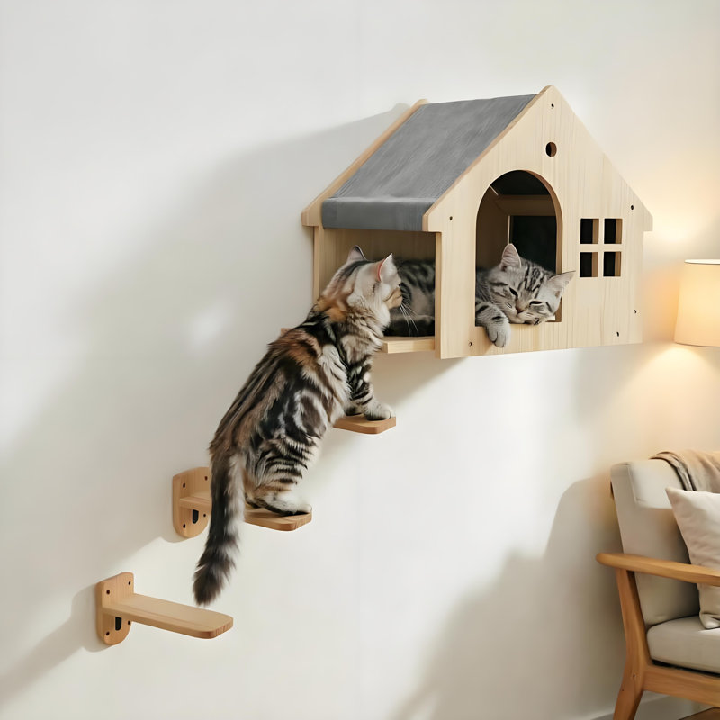 Cat Wall Climbing Steps with House for Small Cats