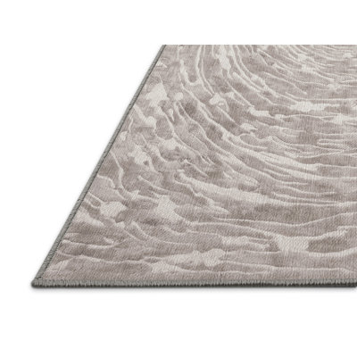 Machine Washable Gray Area Rug