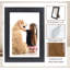 Picture Frame-79127389
