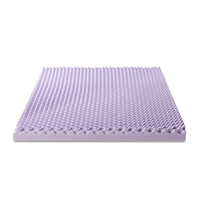 Nunez 4'' Memory Foam Mattress Topper, Queen, Lavender