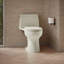 Santa Rosa One-Piece Compact Elongated 1.6 Gpf Toilet With Revolution 360 Swirl Flushing Technology-745672605