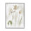 «Golden Irises Blooming Over Neutral Beige» par Daphne Polselli - reproduction d'art