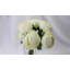 Bouquet de renoncule blanc-98844490