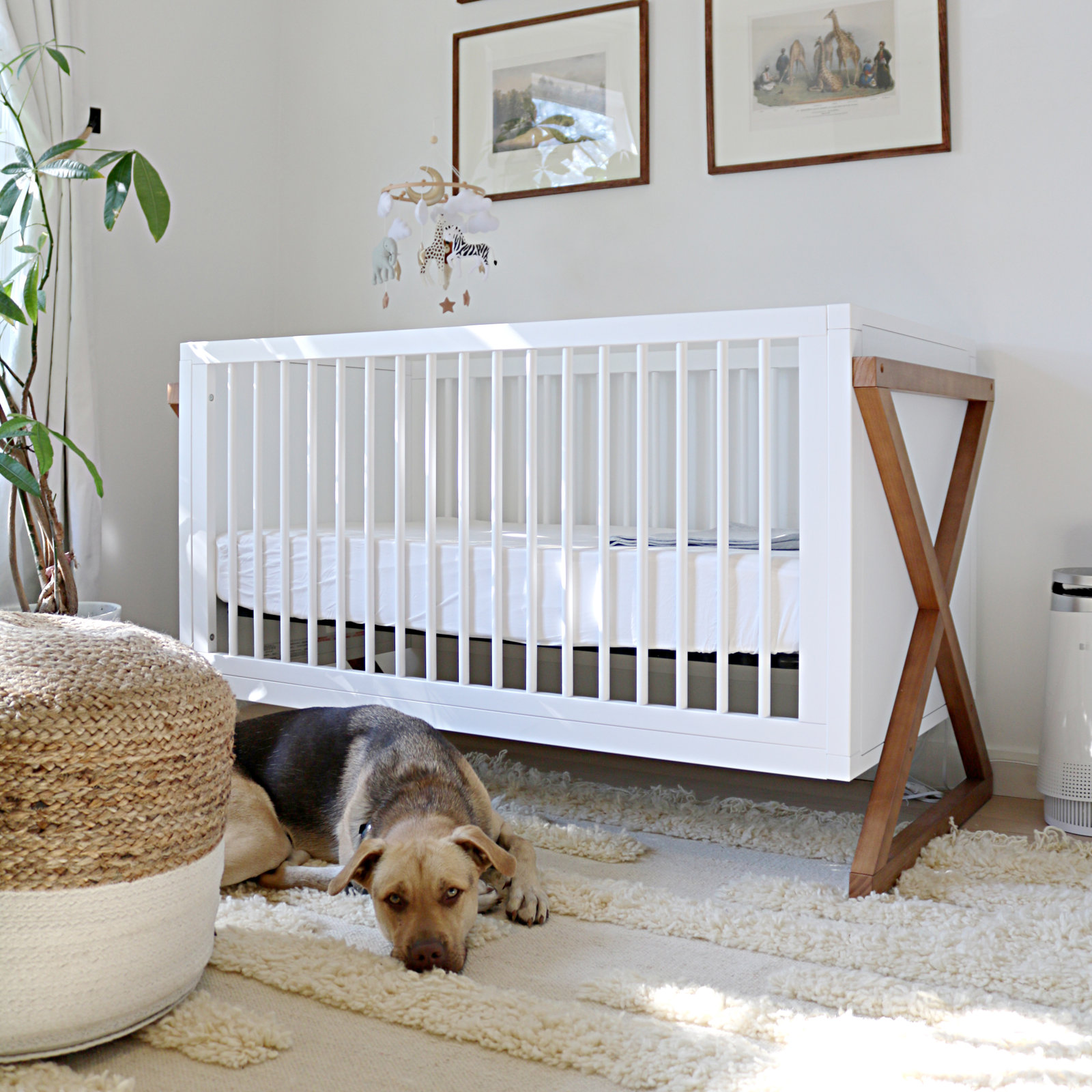 Equinox 3-in-1 Convertible Crib, White/Vintage Driftwood