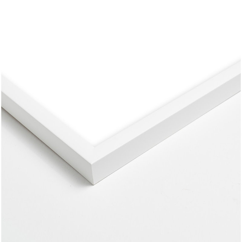 Soaring Print by Peter Dušek, White, 16" H x 16" W x 1.25" D