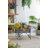 Rustic Planter For Small Space