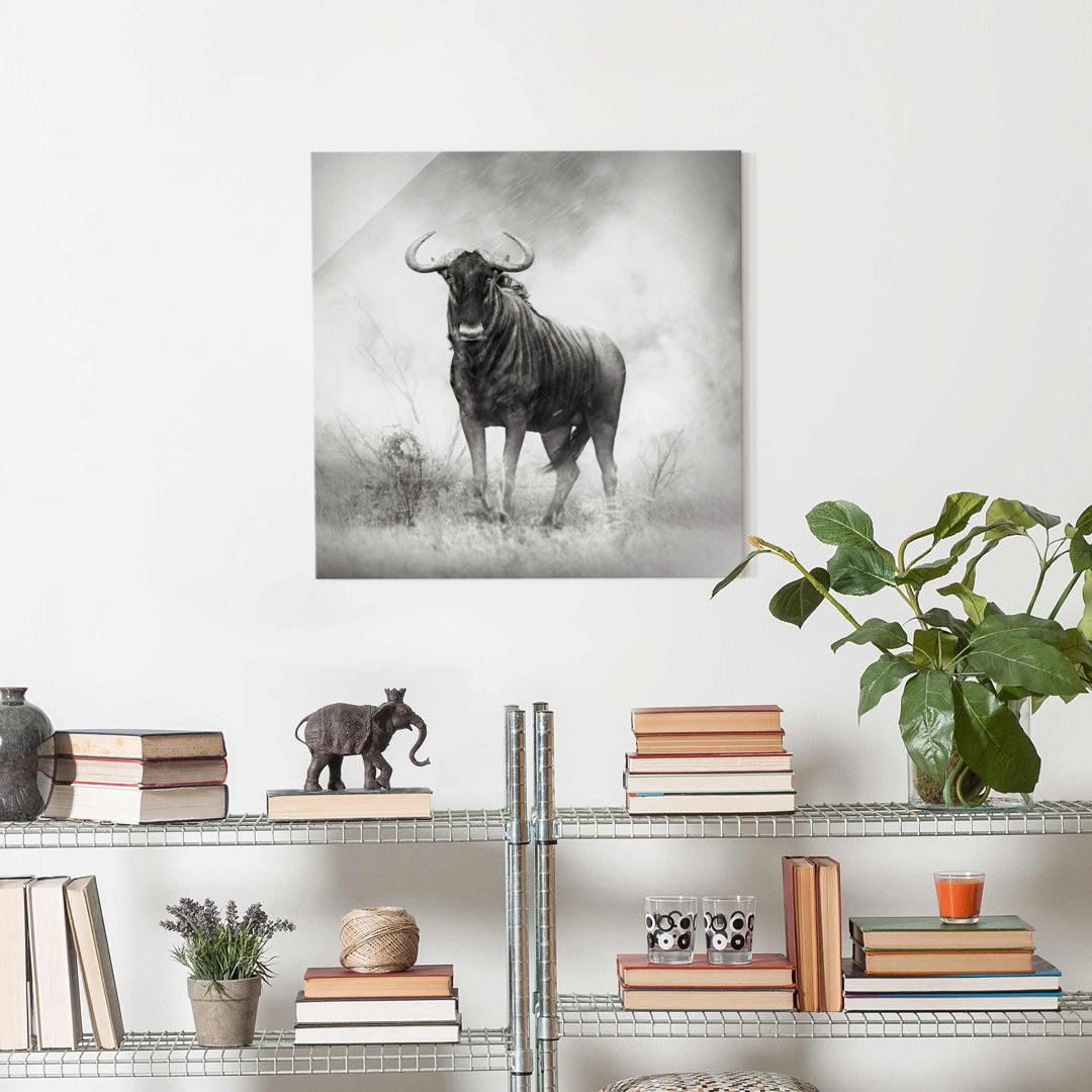 Glasbild Staring Wildebeest