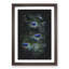 The Feathers of a Peacock - Framed Print-56742691-56742687