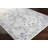 Diera Oriental Indoor Rug-1389638493