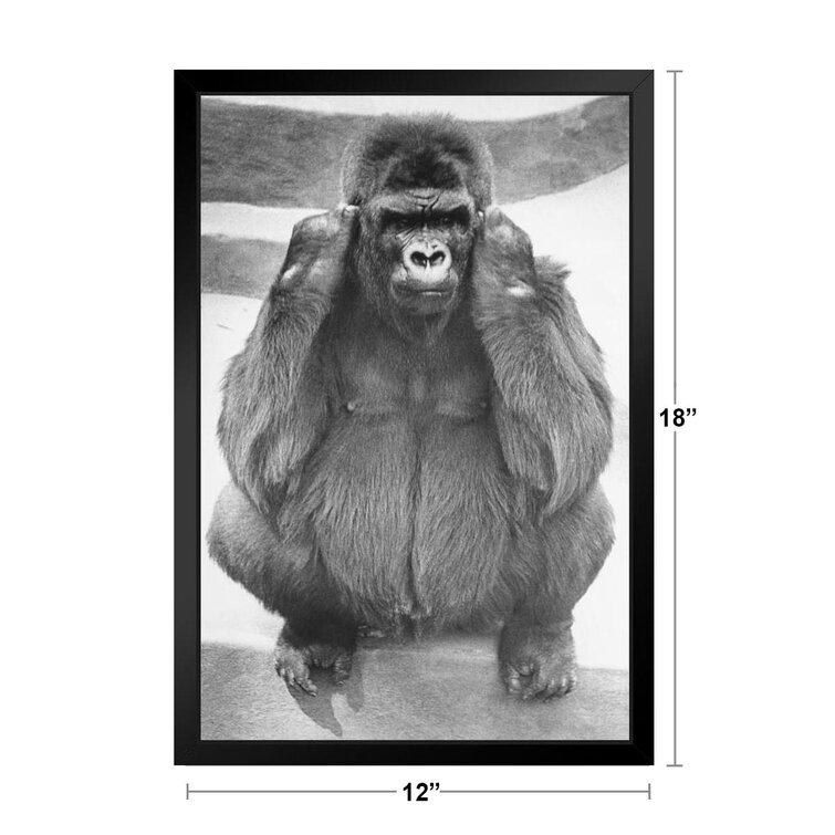Latitude Run® Primate Tropical Ear On Steps Framed Poster Picture Nature Holding Living For Pictures Room Gorillas Print Gorilla Art Wildlife Poster Sitting Of 14X20 Paintings Black Wood Gorilla Poster | Art