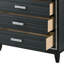 Haiden Weathered Black Finish Chest-1730125213